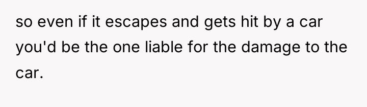 so even if it escapes and gets hit by a...