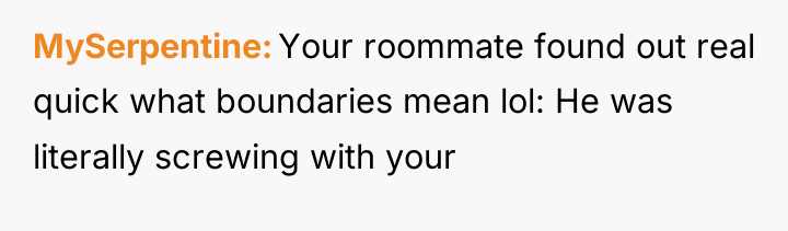 MySerpentine Your roommate found out real quick what boundaries mean...