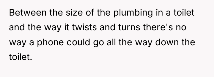 Between the size of the plumbing in a toilet and...