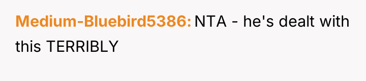 Medium-Bluebird5386 NTA - he's dealt with this TERRIBLY