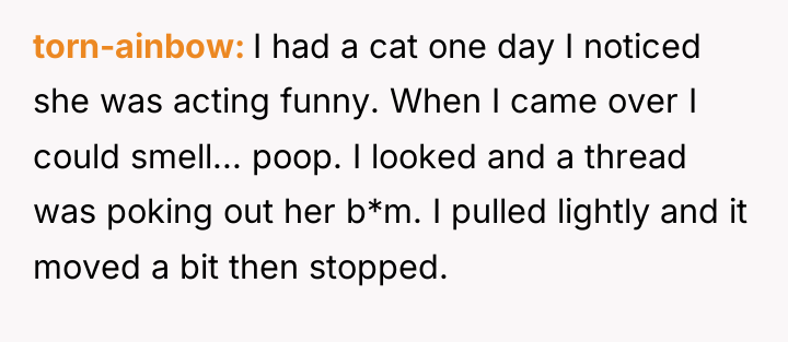 torn-ainbow I had a cat one day I noticed she...