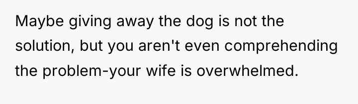 Maybe giving away the dog is not the solution, but...
