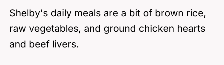 Shelby's daily meals are a bit of brown rice, raw...