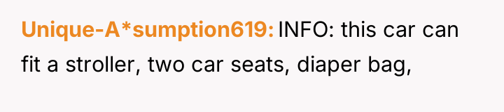 Unique-A*sumption619 INFO: this car can fit a stroller, two car...
