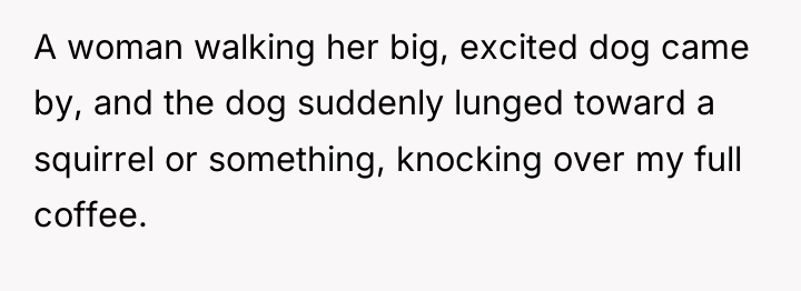 A woman walking her big, excited dog came by, and...