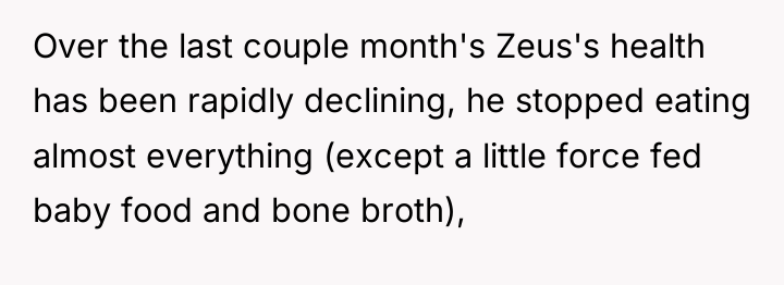 Over the last couple month's Zeus's health has been rapidly...