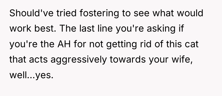 Should've tried fostering to see what would work best. The...