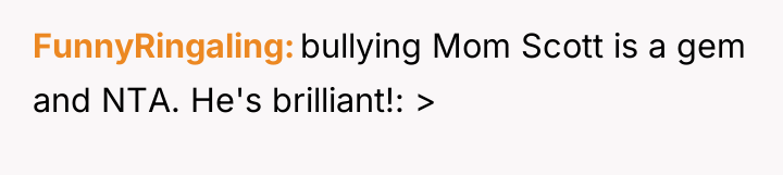 FunnyRingaling bullying Mom Scott is a gem and NTA. He's...