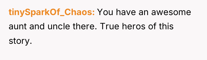 tinySparkOf_Chaos You have an awesome aunt and uncle there. True...