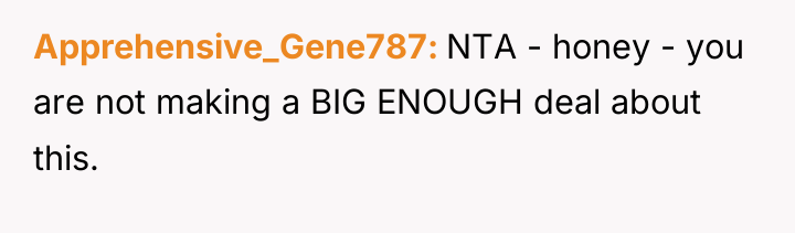 Apprehensive_Gene787 NTA - honey - you are not making a...