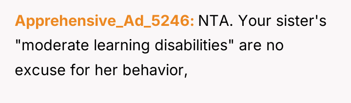 Apprehensive_Ad_5246 NTA. Your sister's "moderate learning disabilities" are no excuse...