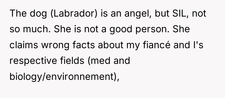 The dog (Labrador) is an angel, but SIL, not so...