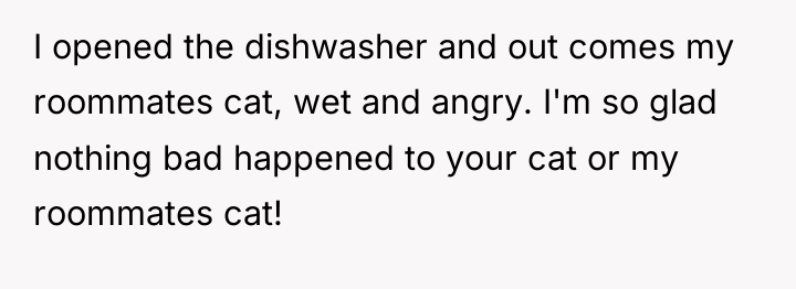 I opened the dishwasher and out comes my roommates cat,...