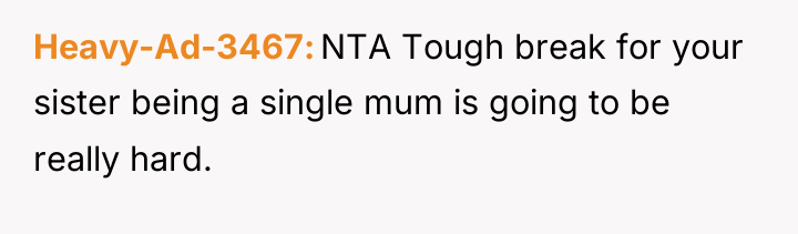 Heavy-Ad-3467 NTA Tough break for your sister being a single...