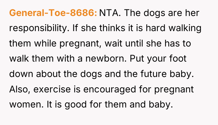 General-Toe-8686 NTA. The dogs are her responsibility. If she thinks...