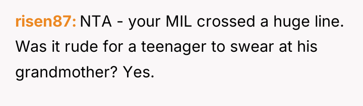 risen87 NTA - your MIL crossed a huge line. Was...