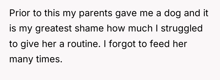 Prior to this my parents gave me a dog and...