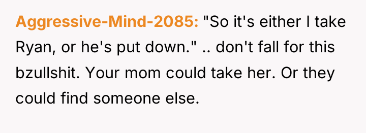 Aggressive-Mind-2085 "So it's either I take Ryan, or he's put...