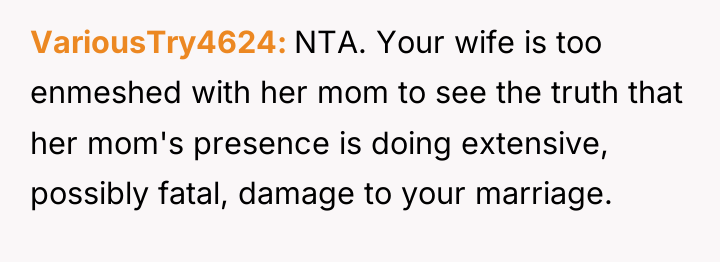 VariousTry4624 NTA. Your wife is too enmeshed with her mom...