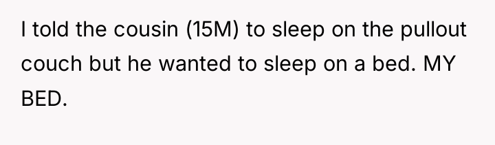 I told the cousin (15M) to sleep on the pullout...