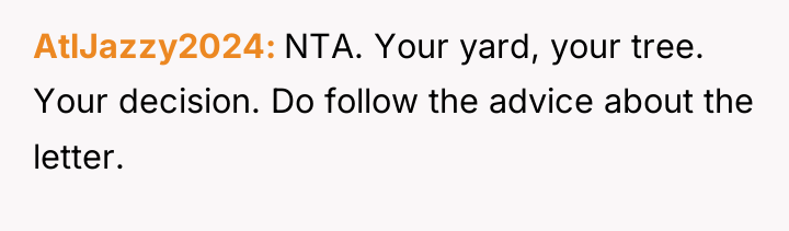 AtlJazzy2024 NTA. Your yard, your tree. Your decision. Do follow...