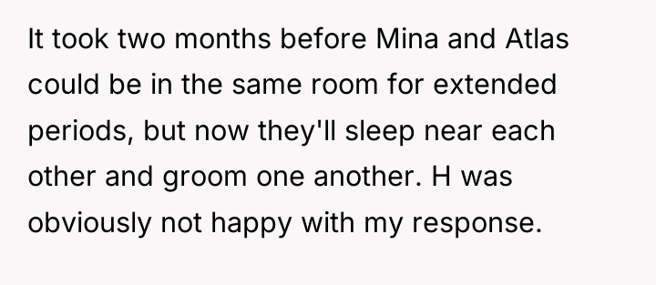 It took two months before Mina and Atlas could be...