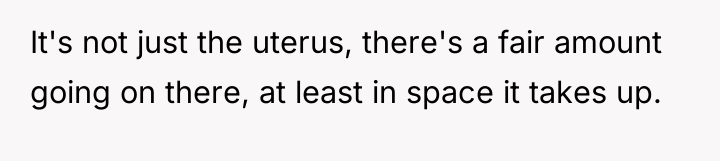 It's not just the uterus, there's a fair amount going...