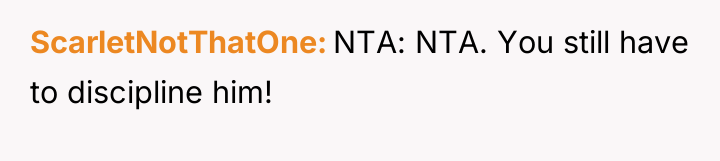 ScarletNotThatOne NTA: NTA. You still have to discipline him!