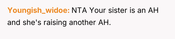 Youngish_widoe NTA Your sister is an AH and she's raising...