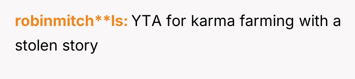 robinmitch**ls YTA for karma farming with a stolen story