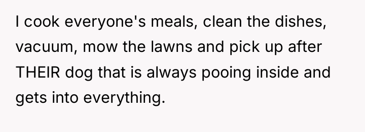 I cook everyone's meals, clean the dishes, vacuum, mow the...