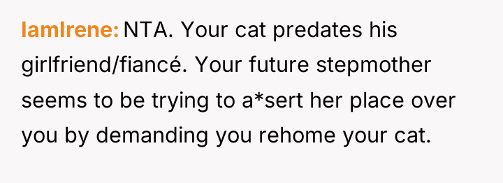 IamIrene NTA. Your cat predates his girlfriend/fiancé. Your future stepmother...