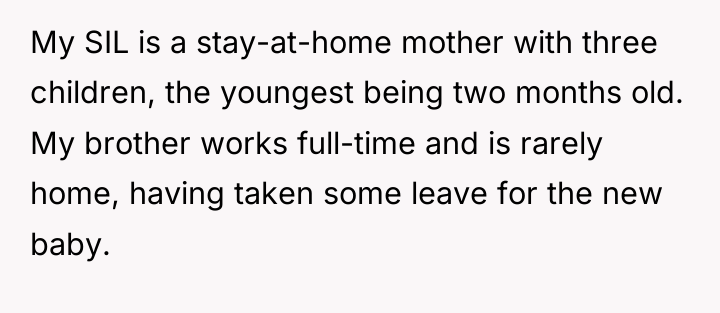 My SIL is a stay-at-home mother with three children, the...