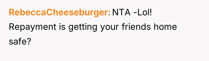 RebeccaCheeseburger NTA -Lol! Repayment is getting your friends home safe?