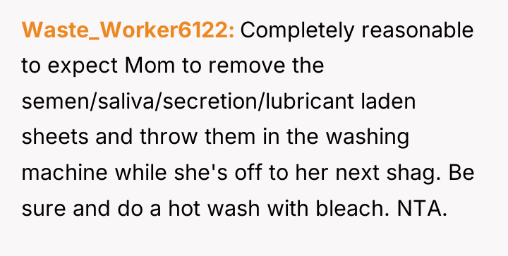 Waste_Worker6122 Completely reasonable to expect Mom to remove the semen/saliva/secretion/lubricant...
