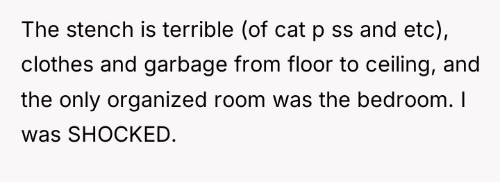 The stench is terrible (of cat p ss and etc),...