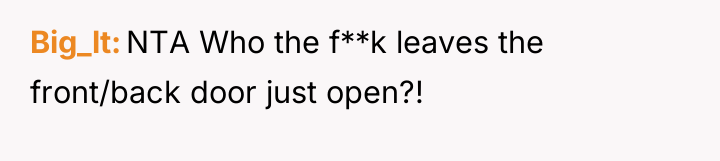 Big_lt NTA Who the f**k leaves the front/back door just...