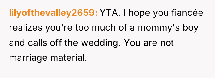 lilyofthevalley2659 YTA. I hope you fiancée realizes you're too much...
