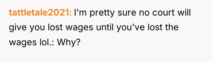 tattletale2021 I'm pretty sure no court will give you lost...