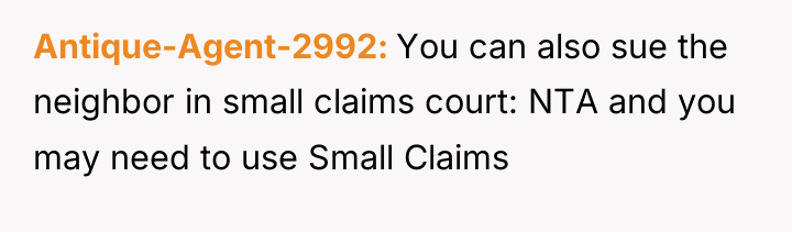 Antique-Agent-2992 You can also sue the neighbor in small claims...