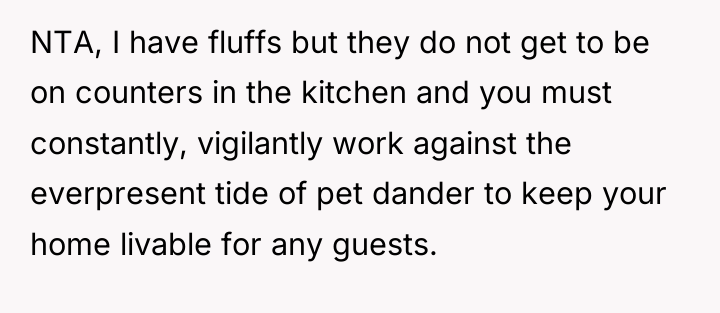 NTA, I have fluffs but they do not get to...