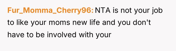 Fur_Momma_Cherry96 NTA is not your job to like your moms...