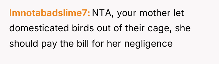 Imnotabadslime7 NTA, your mother let domesticated birds out of their...