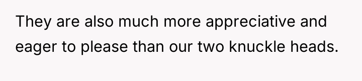 They are also much more appreciative and eager to please...