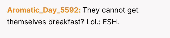 Aromatic_Day_5592 They cannot get themselves breakfast? Lol.: ESH.