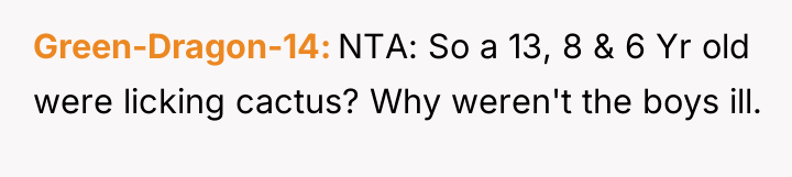 Green-Dragon-14 NTA: So a 13, 8 & 6 Yr old...