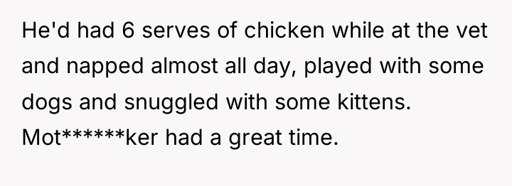 He'd had 6 serves of chicken while at the vet...