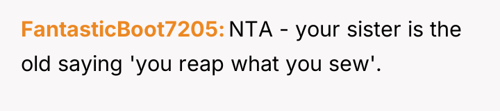 FantasticBoot7205 NTA - your sister is the old saying 'you...