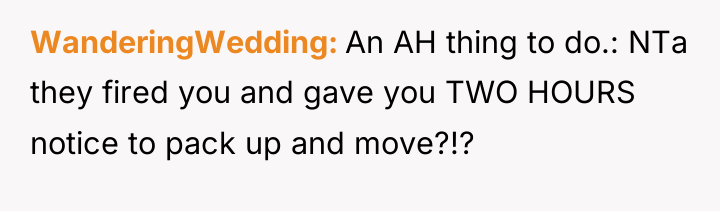 WanderingWedding An AH thing to do.: NTa they fired you...