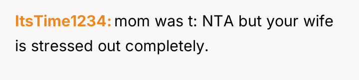 ItsTime1234 mom was t: NTA but your wife is stressed...